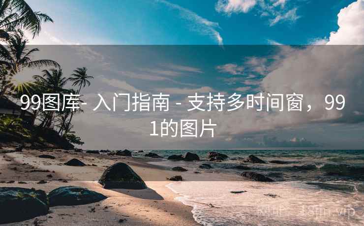 99图库- 入门指南 - 支持多时间窗，991的图片